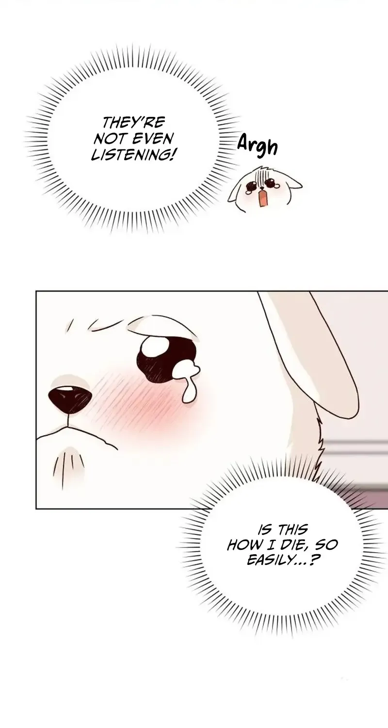 The Emperor's Dog Zinmanga X Chapter 1 Page 67