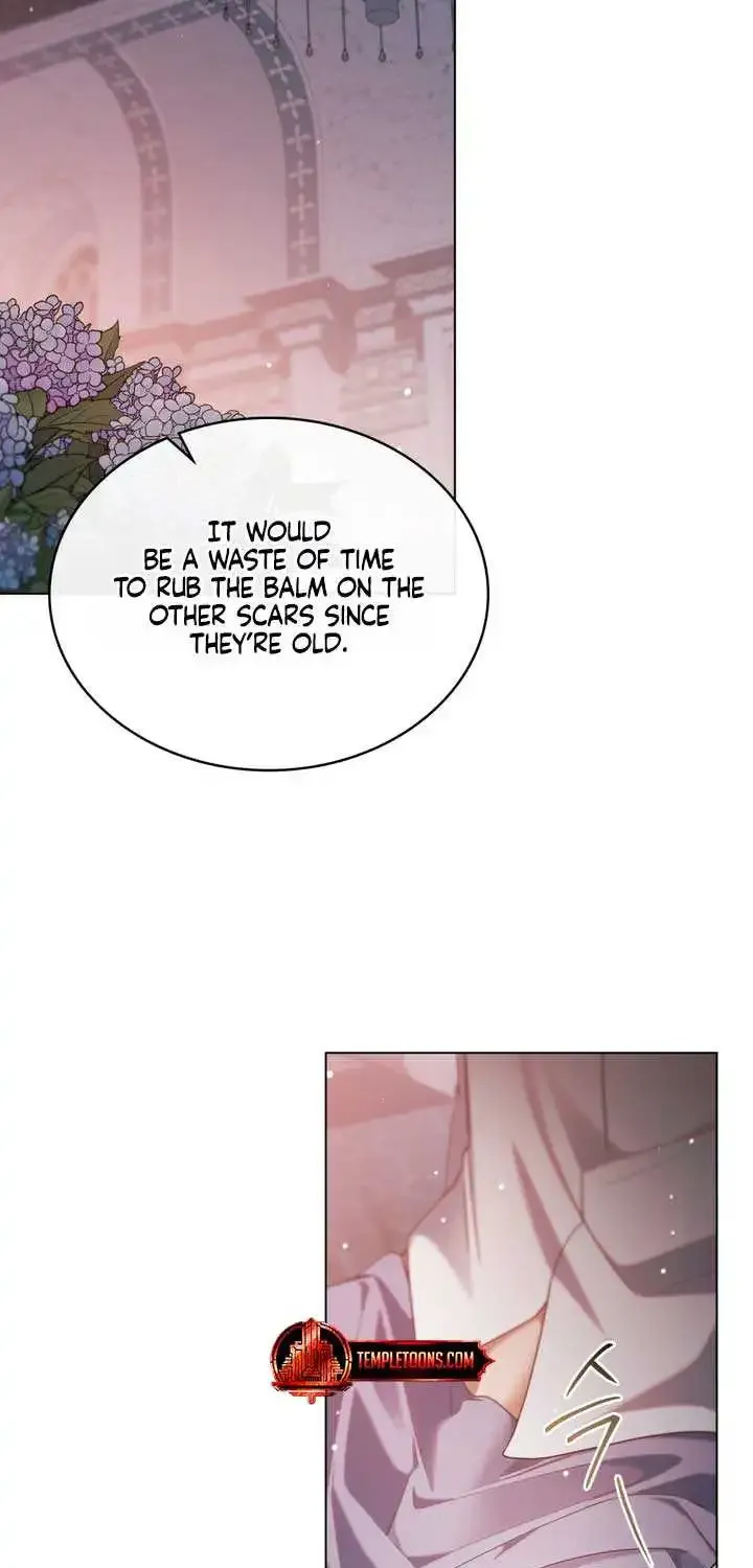 The Princess’s Bedchamber Toy Zinmanga X Chapter 28 Page 29