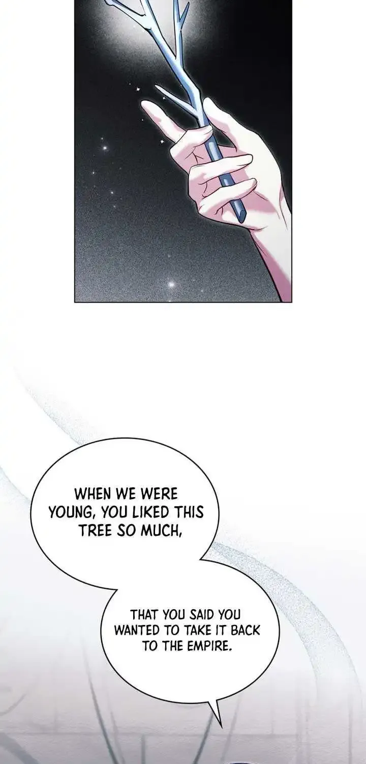 The Princess’s Bedchamber Toy Zinmanga X Chapter 3 Page 9