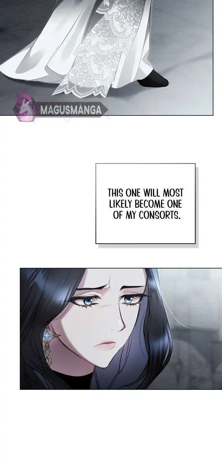 The Princess’s Bedchamber Toy Zinmanga X Chapter 2 Page 52