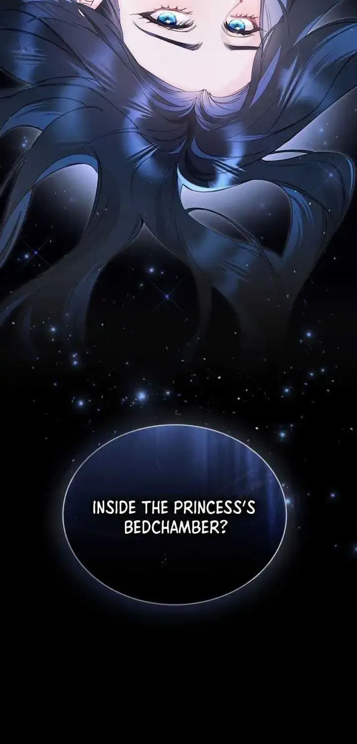 The Princess’s Bedchamber Toy Zinmanga X Chapter 1 Page 8