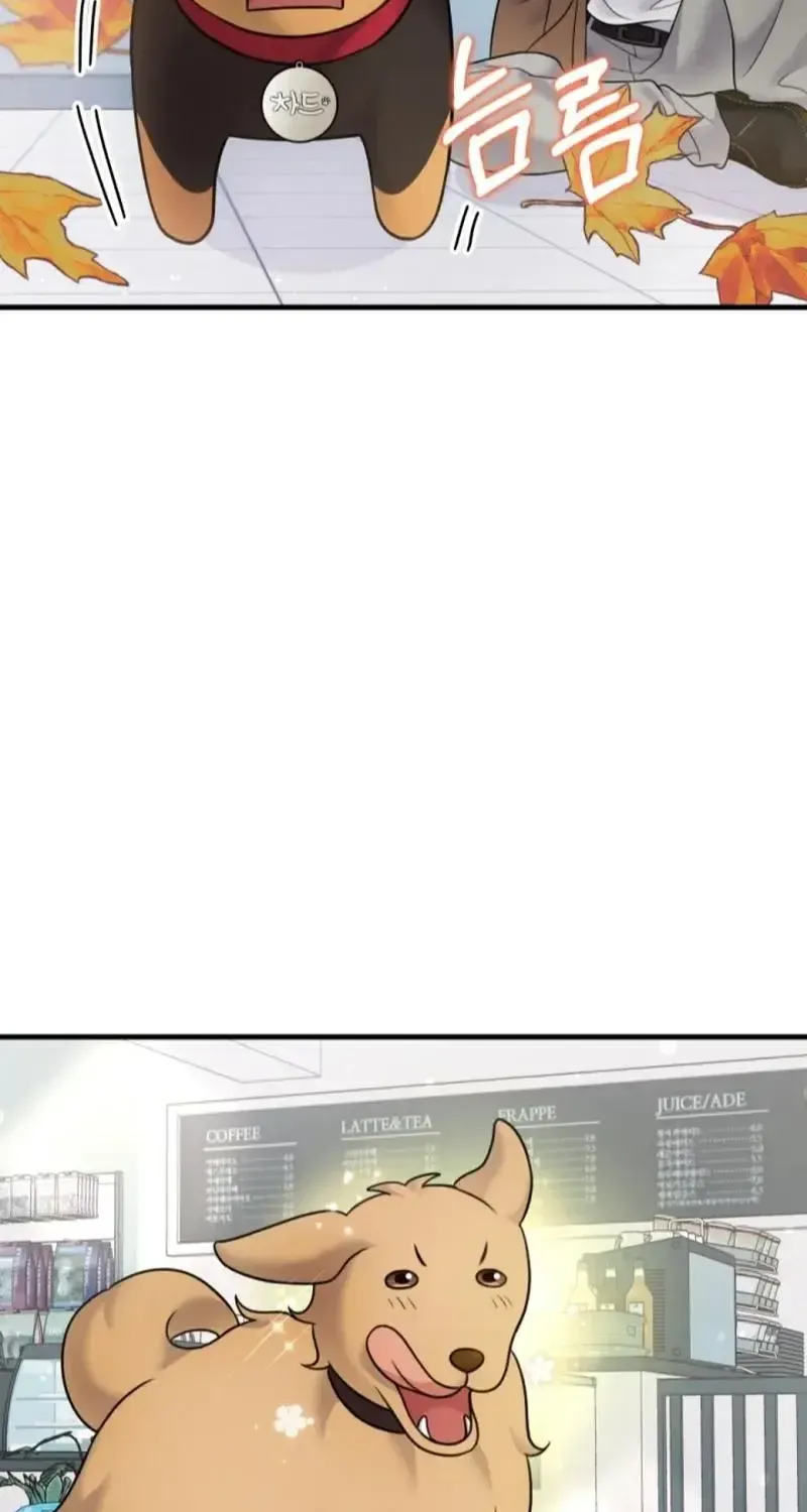 My masculine Puppy Zinmanga X Chapter 20 Page 36