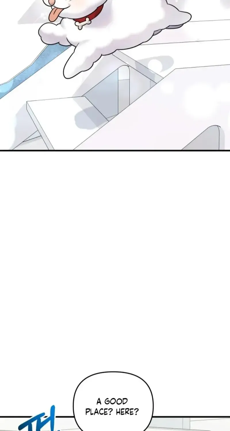 My masculine Puppy Zinmanga X Chapter 20 Page 38