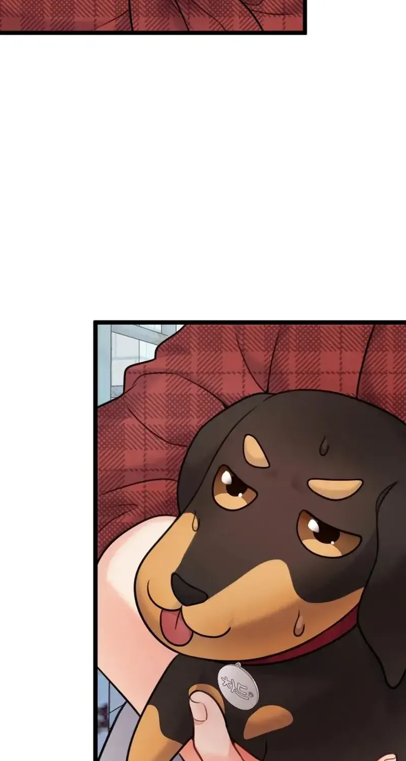 My masculine Puppy Zinmanga X Chapter 18 Page 95