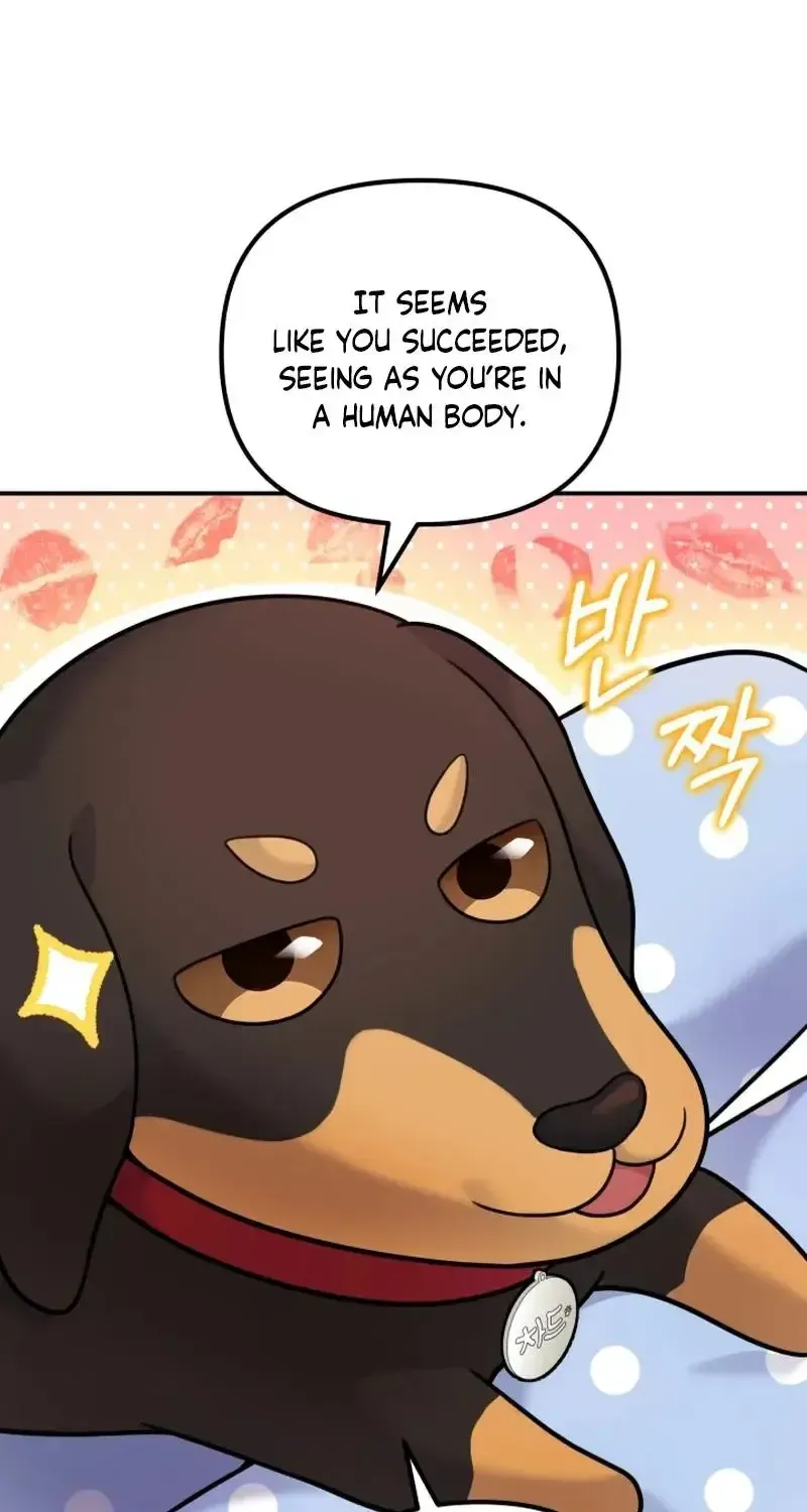 My masculine Puppy Zinmanga X Chapter 16 Page 80