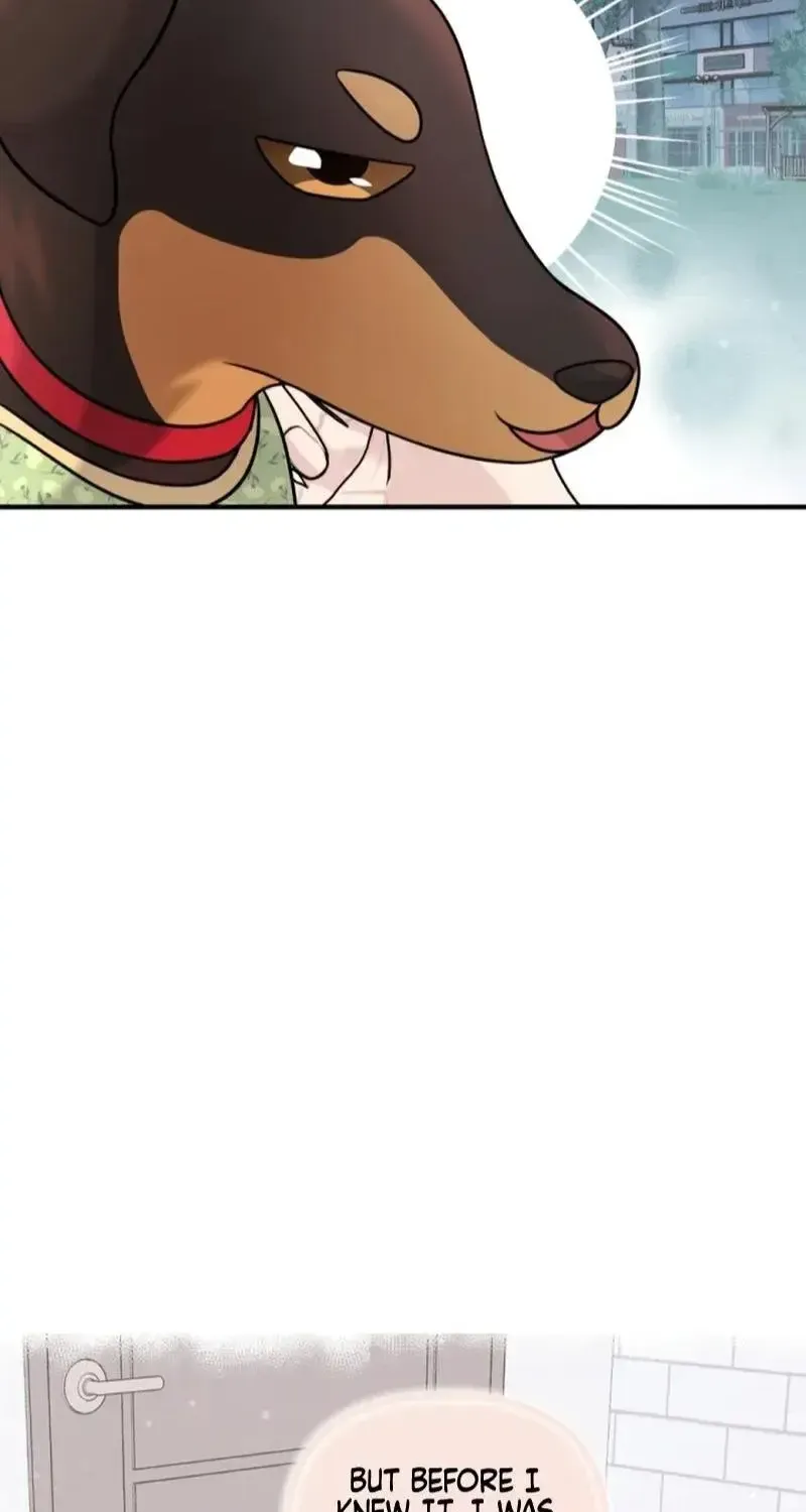 My masculine Puppy Zinmanga X Chapter 13 Page 20