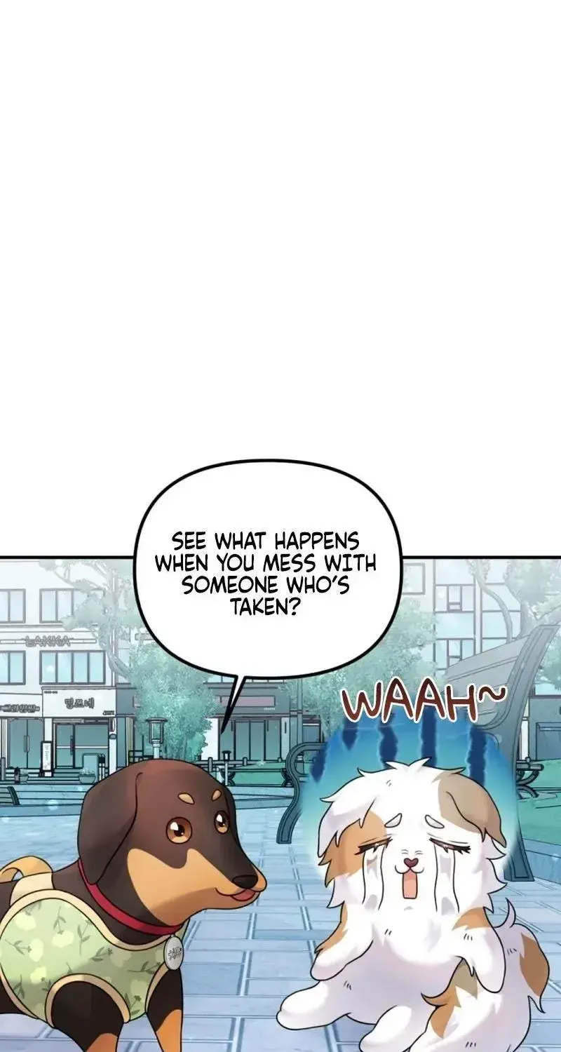 My masculine Puppy Zinmanga X Chapter 13 Page 40