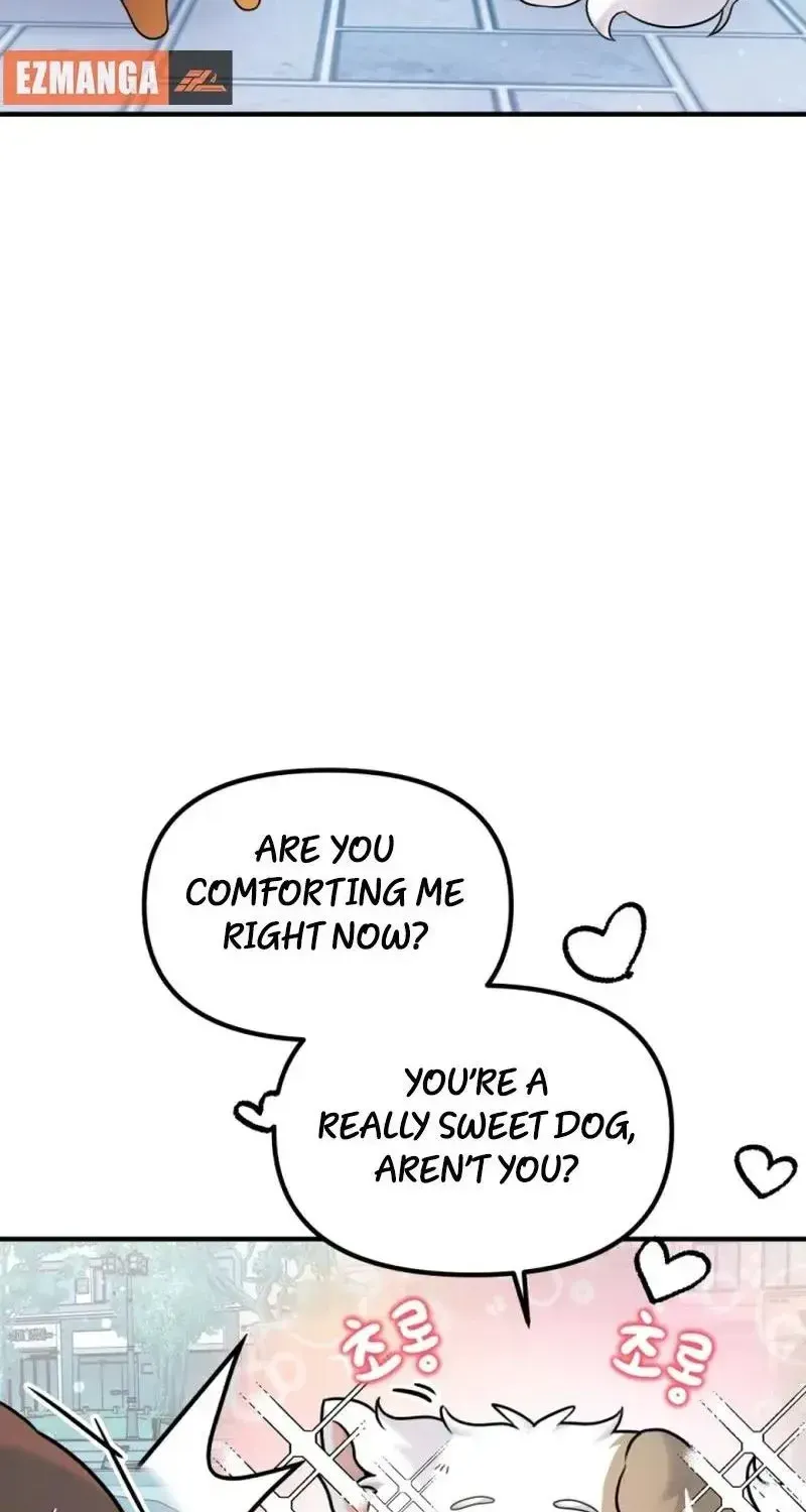 My masculine Puppy Zinmanga X Chapter 13 Page 41