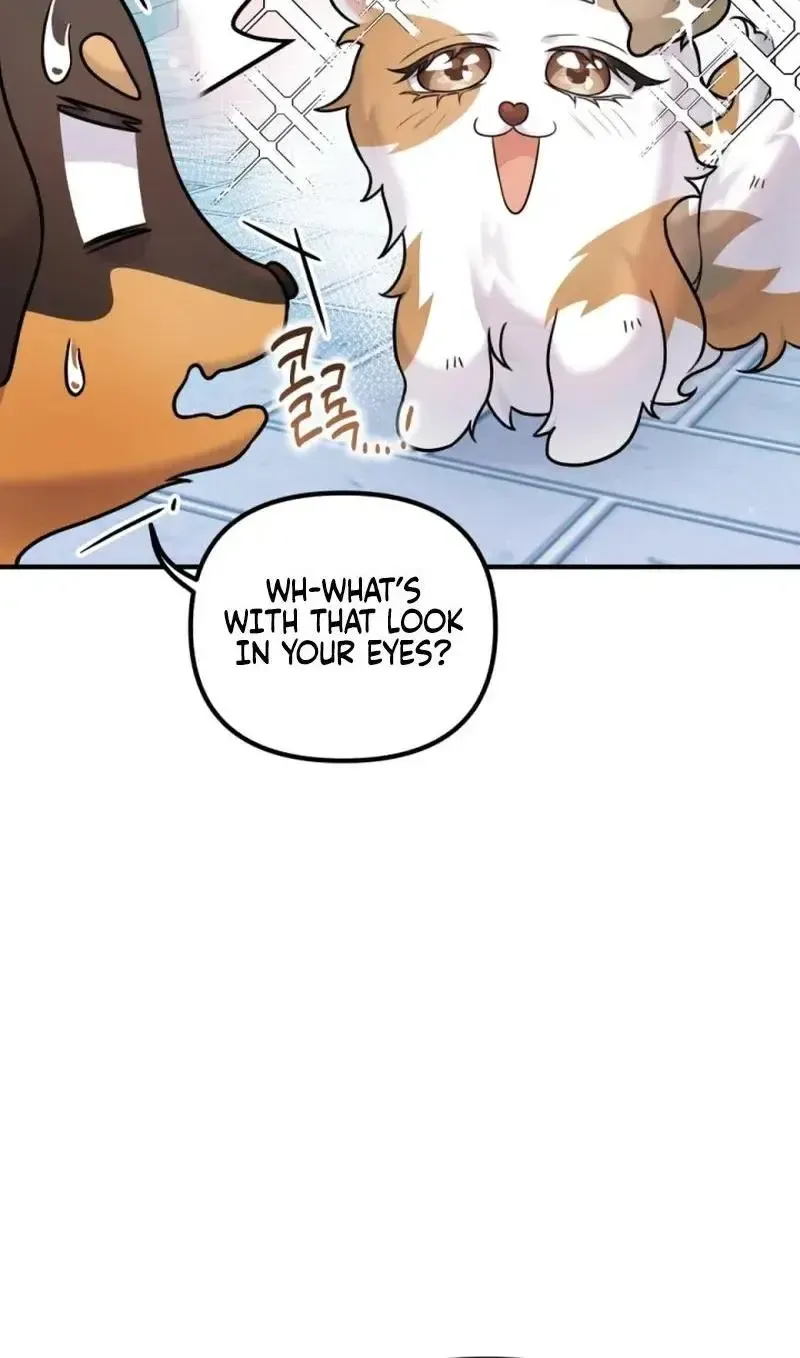 My masculine Puppy Zinmanga X Chapter 13 Page 42
