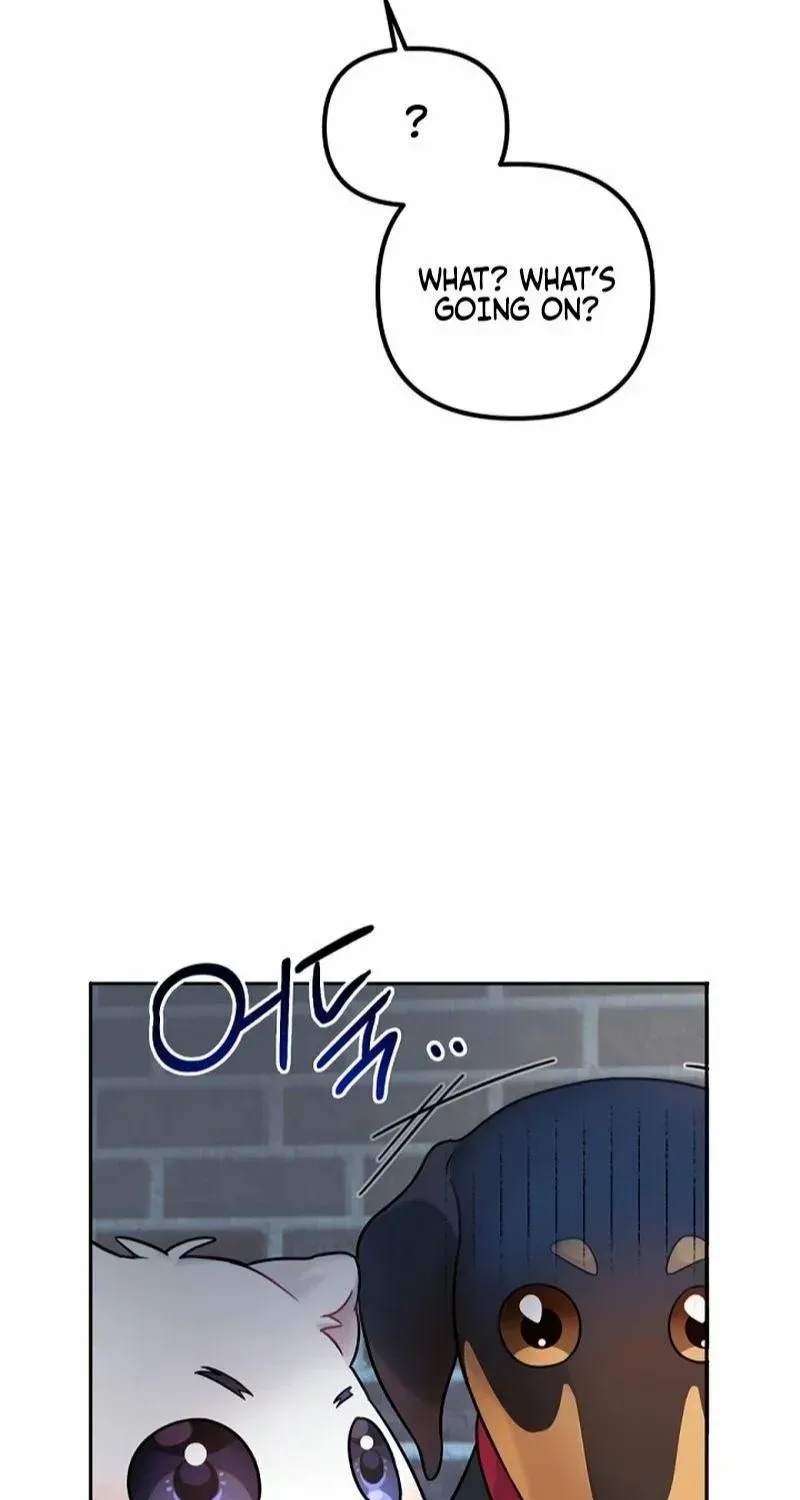My masculine Puppy Zinmanga X Chapter 12 Page 76