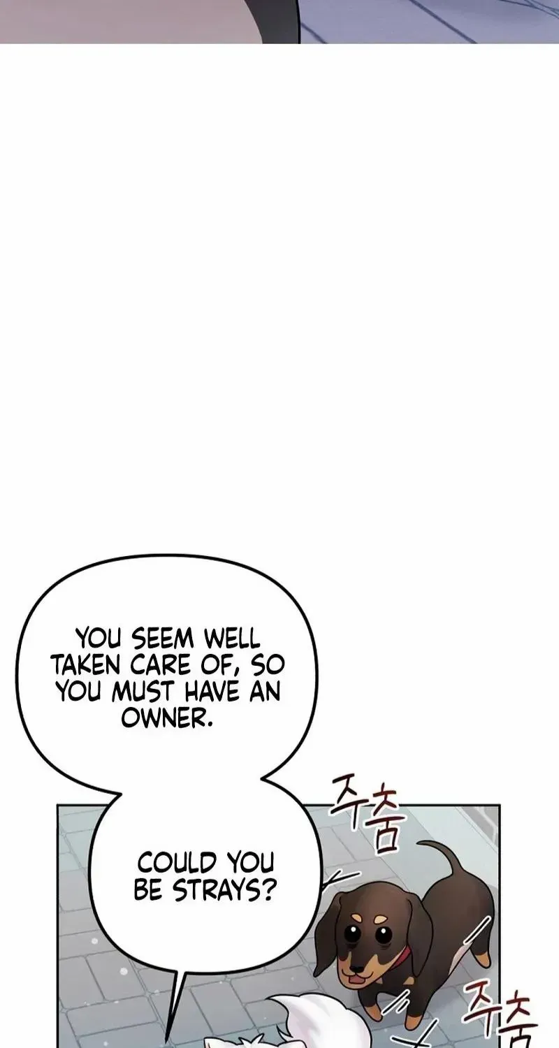 My masculine Puppy Zinmanga X Chapter 12 Page 79