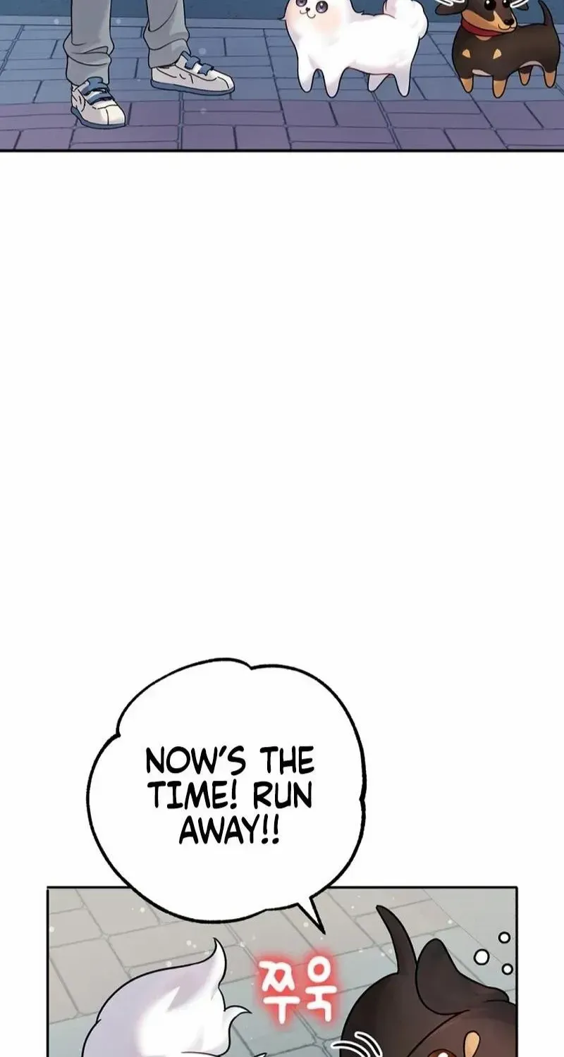 My masculine Puppy Zinmanga X Chapter 12 Page 82