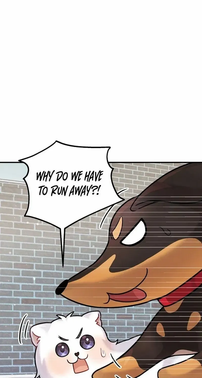 My masculine Puppy Zinmanga X Chapter 12 Page 85
