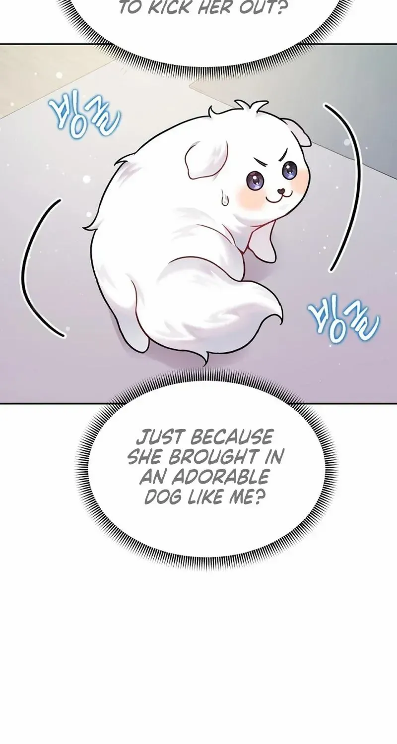 My masculine Puppy Zinmanga X Chapter 9 Page 36