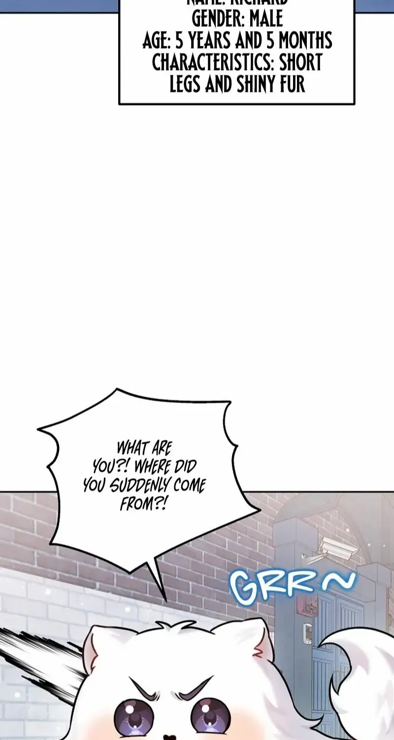 My masculine Puppy Zinmanga X Chapter 9 Page 77
