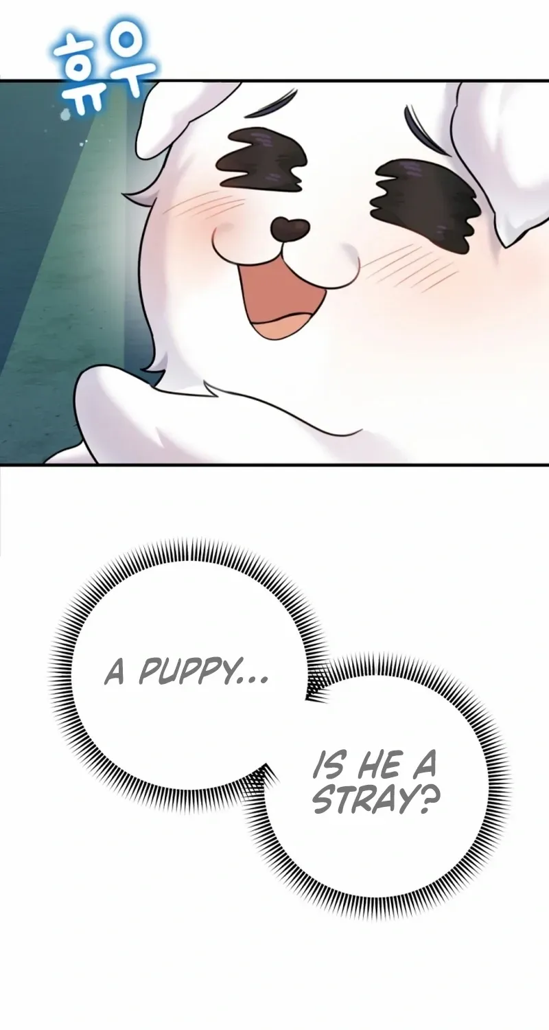 My masculine Puppy Zinmanga X Chapter 1 Page 25