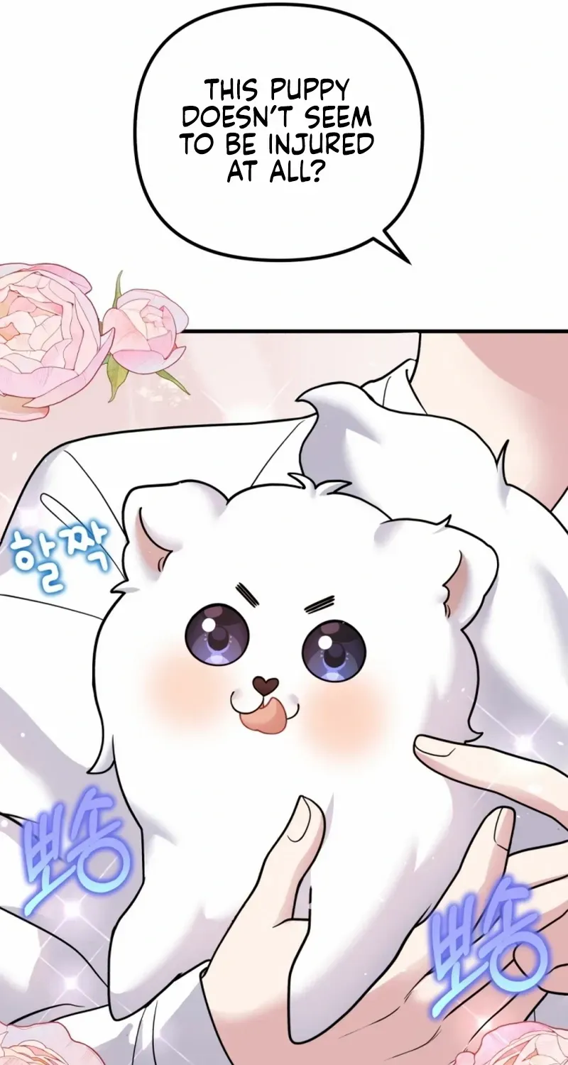 My masculine Puppy Zinmanga X Chapter 1 Page 49