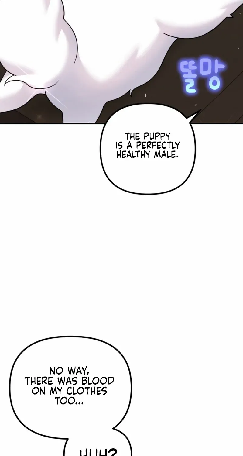 My masculine Puppy Zinmanga X Chapter 1 Page 53