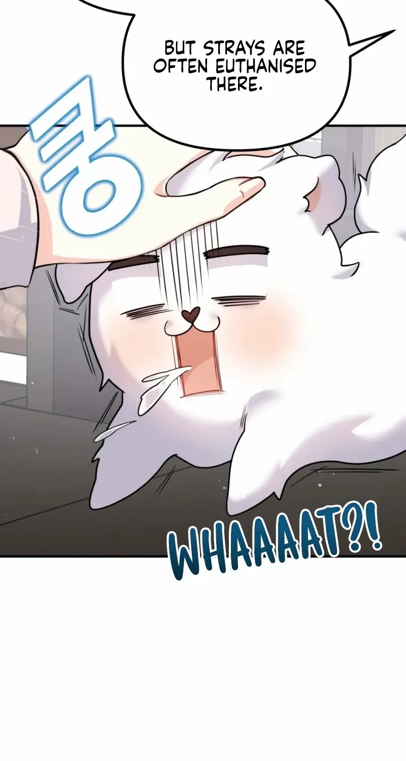 My masculine Puppy Zinmanga X Chapter 1 Page 58