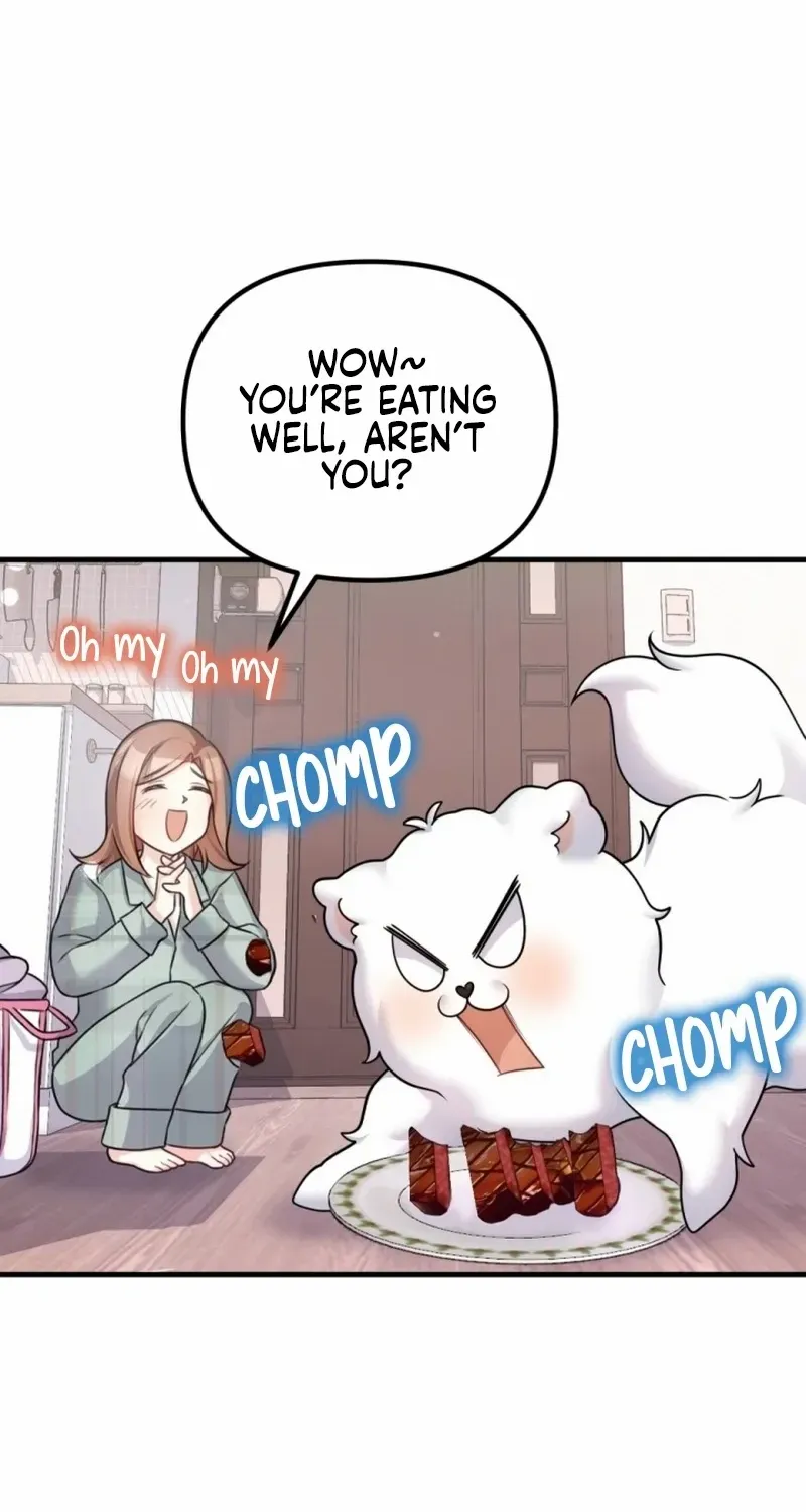 My masculine Puppy Zinmanga X Chapter 1 Page 80