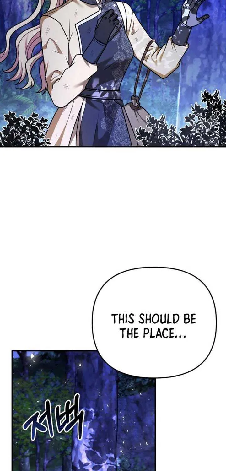 For The Princess Who Will Disappear Zinmanga X Chapter 16 Page 45