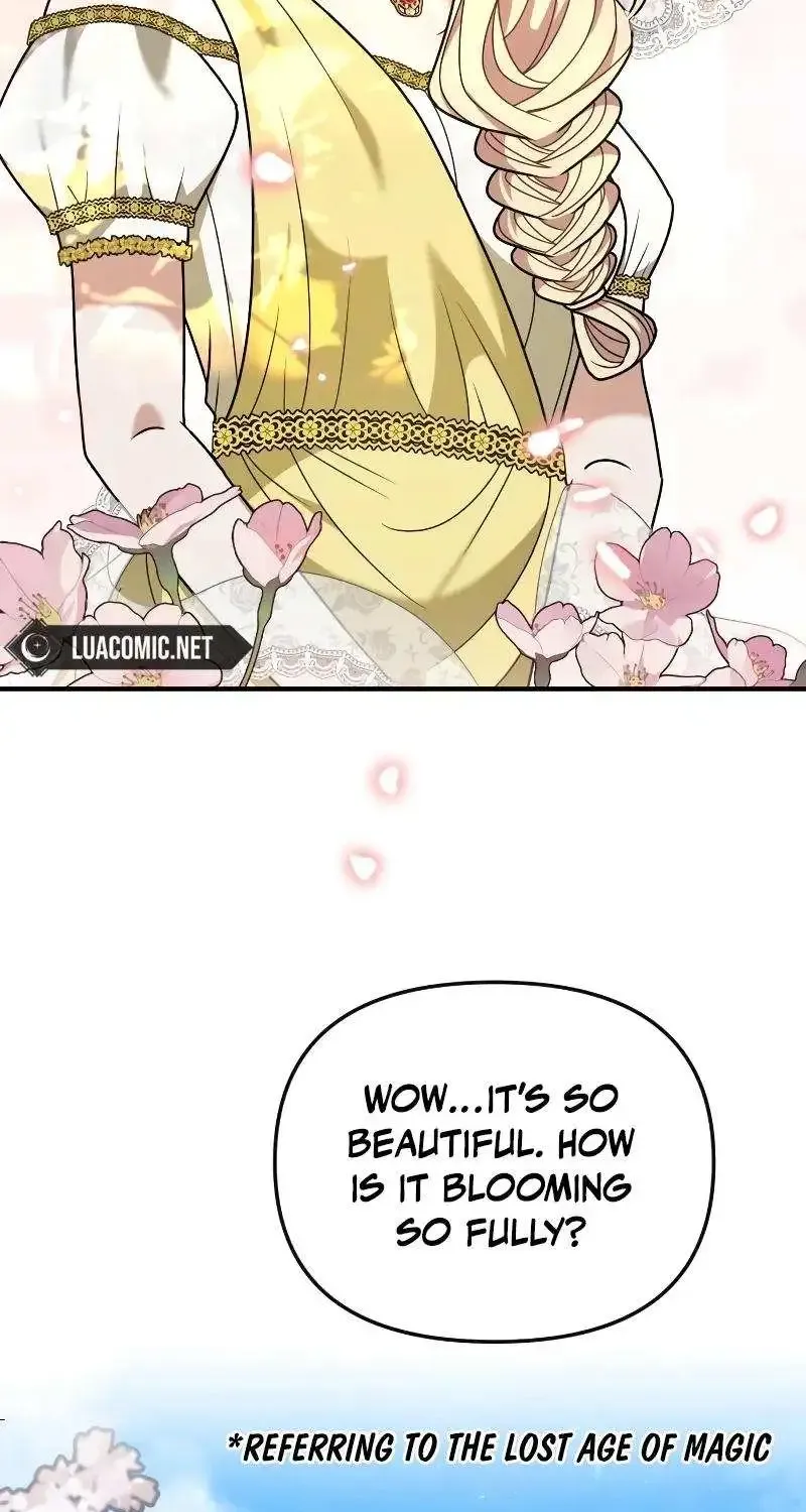 For The Princess Who Will Disappear Zinmanga X Chapter 11 Page 73
