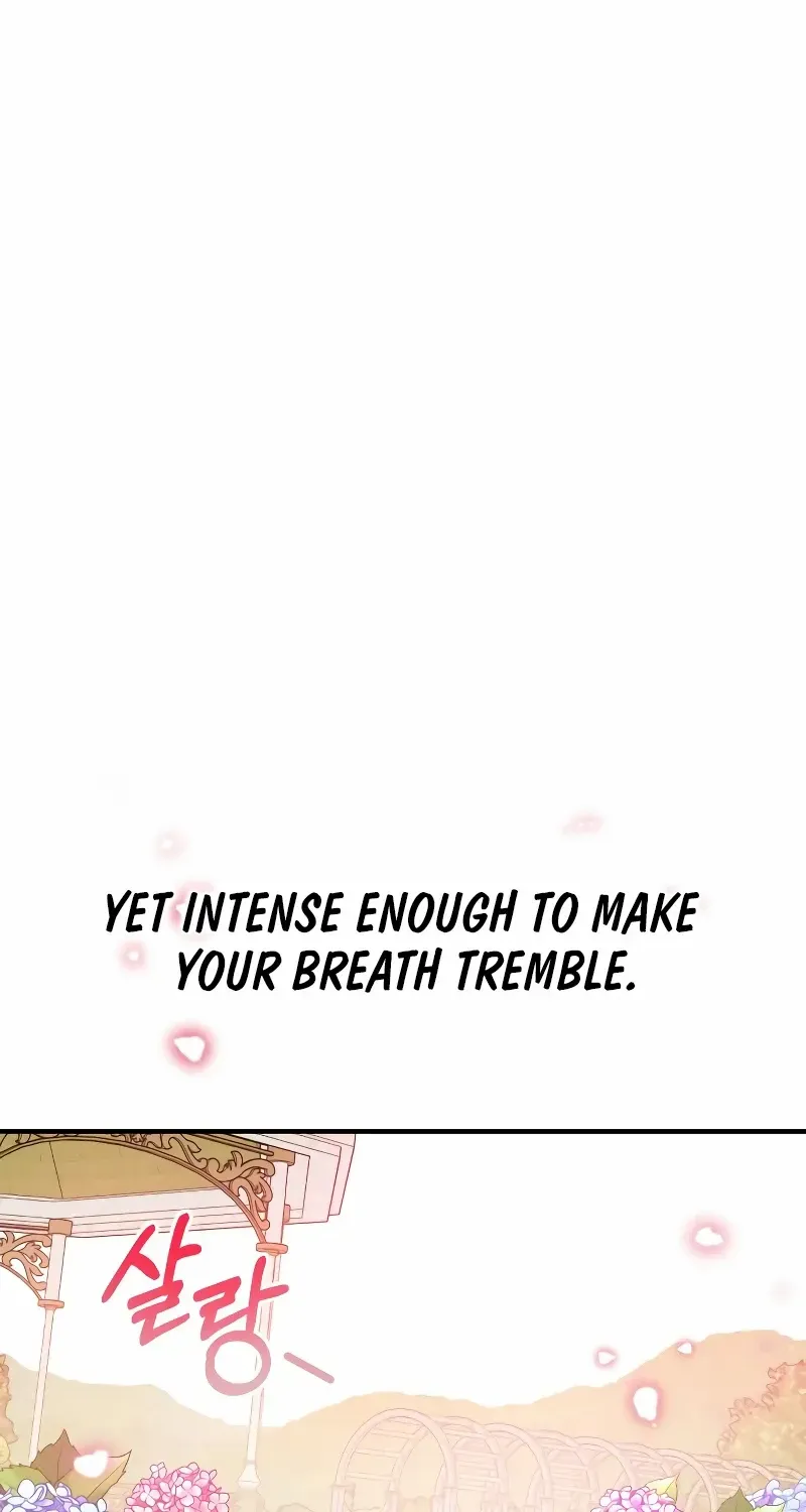 For The Princess Who Will Disappear Zinmanga X Chapter 6 Page 35