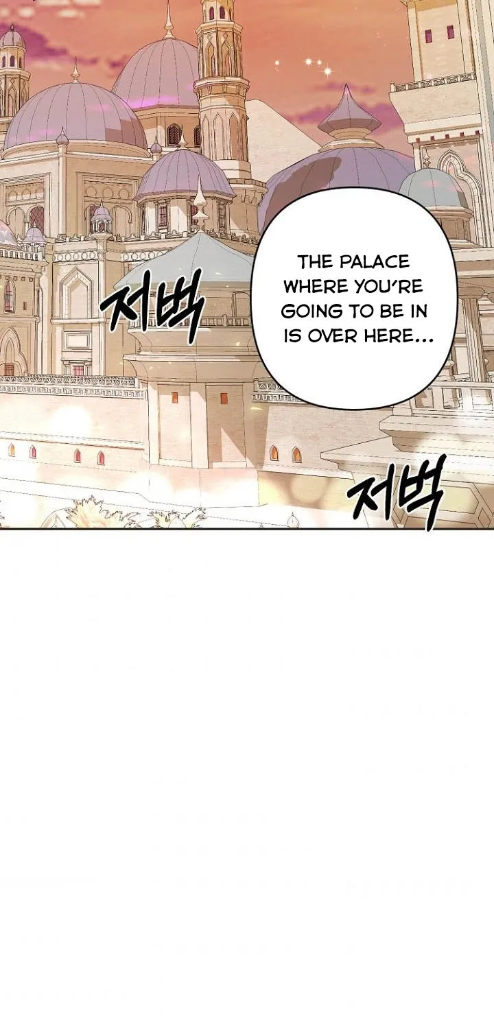 Forget My Husband, I’ll Go Make Money Zinmanga X Chapter 11 Page 65