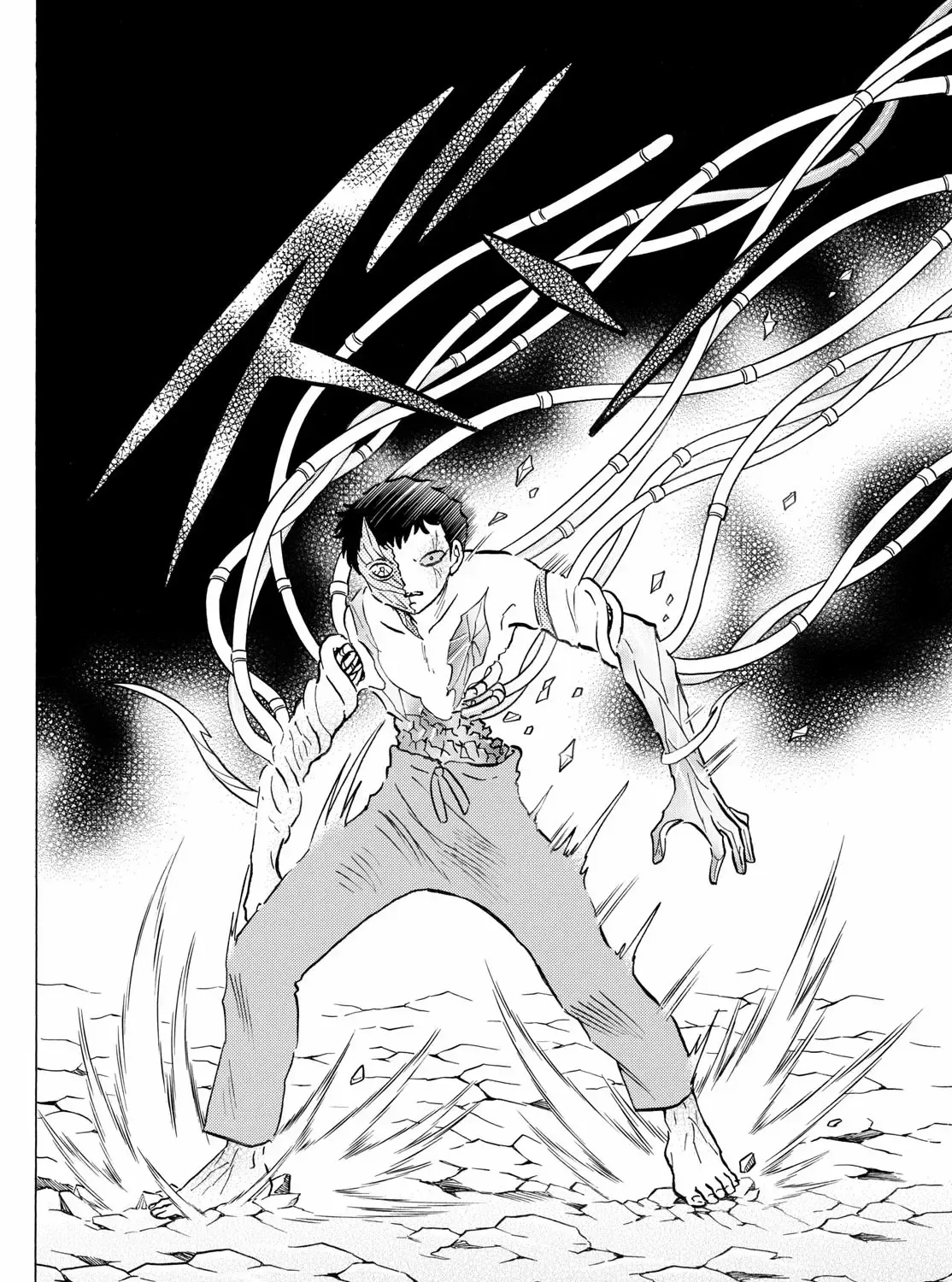 Mao Zinmanga X Chapter 253 Page 11