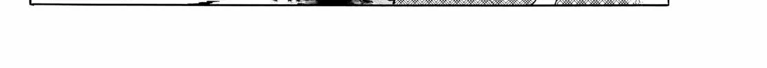 Mao Zinmanga X Chapter 207 Page 6