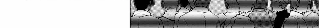 Legend (Takano Masaharu) Zinmanga X Chapter 54 Page 36
