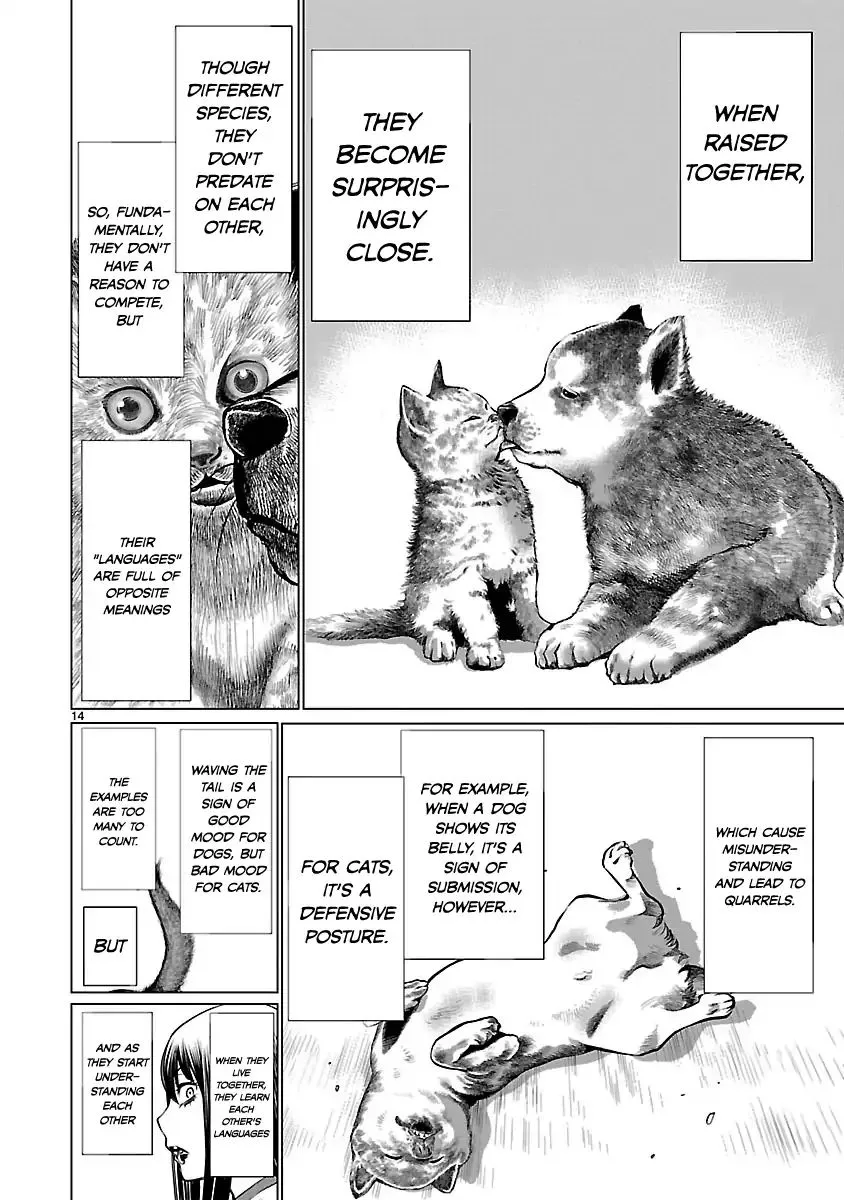 Killing Bites Zinmanga X Chapter 39 Page 14