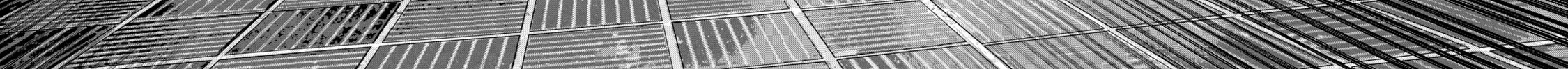 Under Ninja Zinmanga X Chapter 82 Page 32