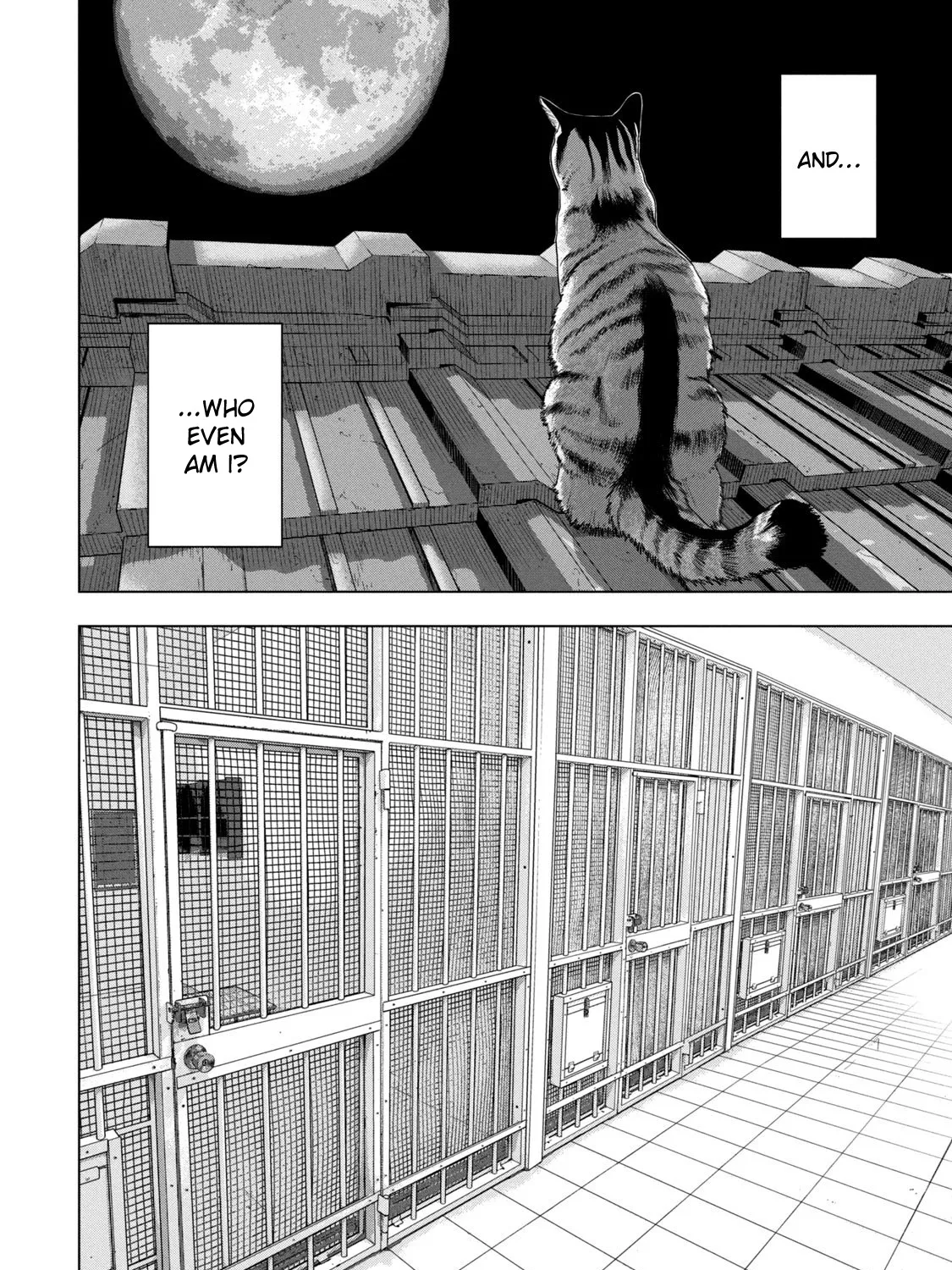 Under Ninja Zinmanga X Chapter 76 Page 22