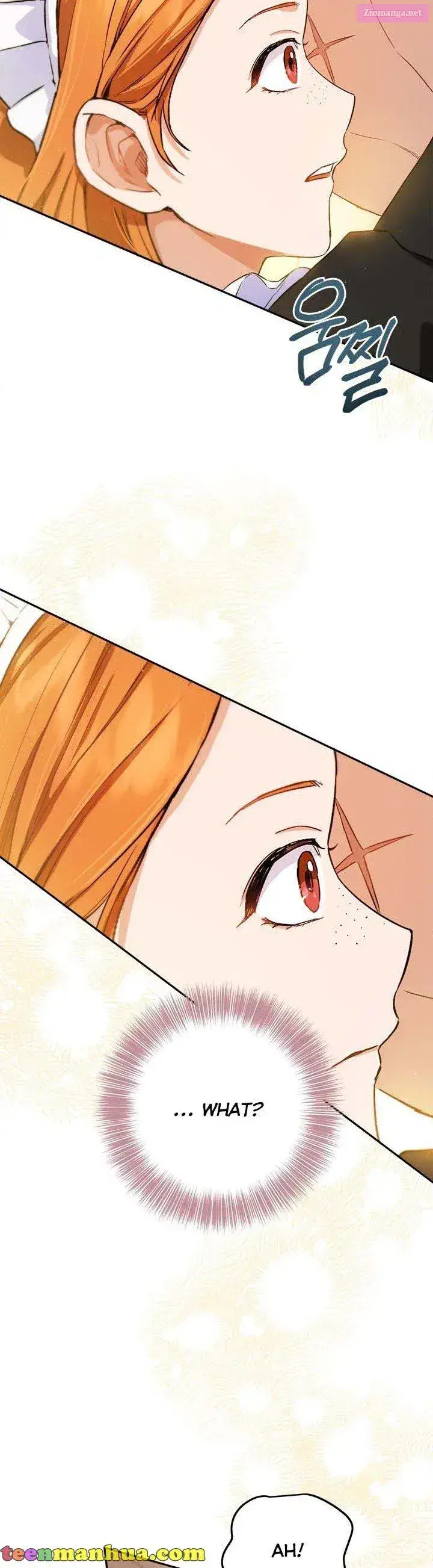 The Princess’s Double Life Zinmanga X Chapter 65 Page 21