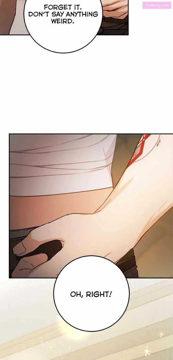The Princess’s Double Life Zinmanga X Chapter 61.1 Page 37