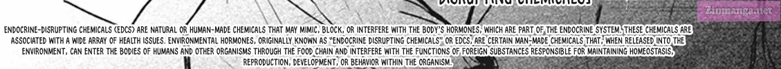 7◯3⨉ Zinmanga X Chapter 62 Page 43