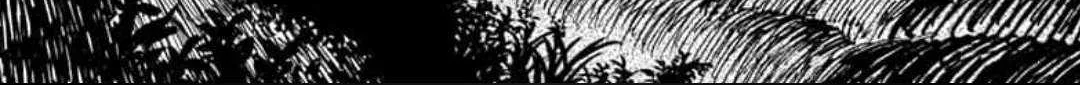 Dandadan Zinmanga X Chapter 46 Page 4