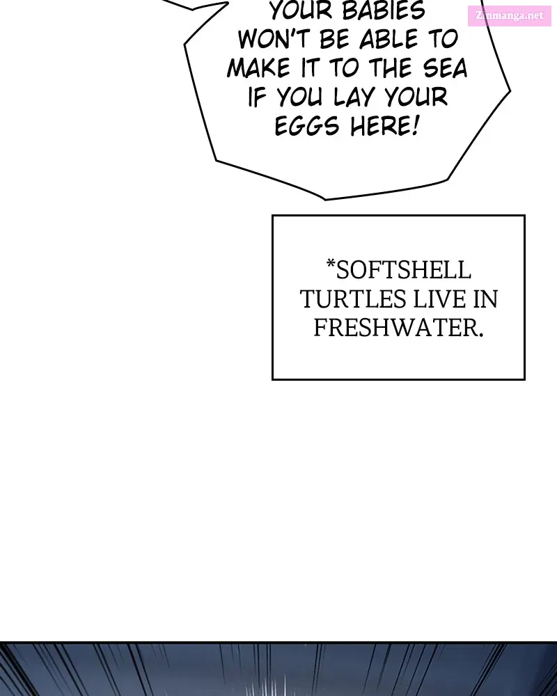 S.K.T(Swallow Knights Tales) Zinmanga X Chapter 20 Page 32