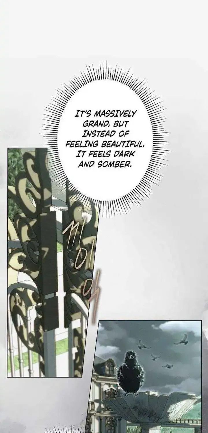 The Merman Trapped in My Lake Zinmanga X Chapter 13 Page 38