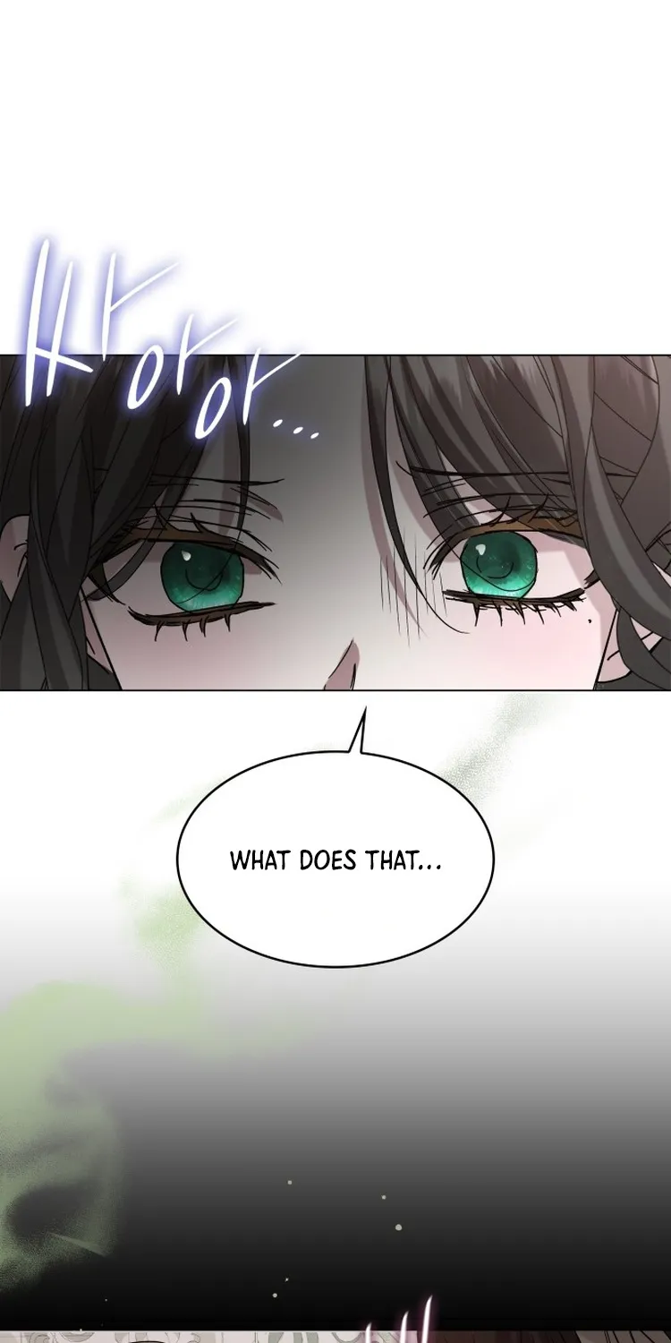 Describe Your Feeling When Being Reincarnated as Your Husband’s Mistress Zinmanga X Chapter 2 Page 11