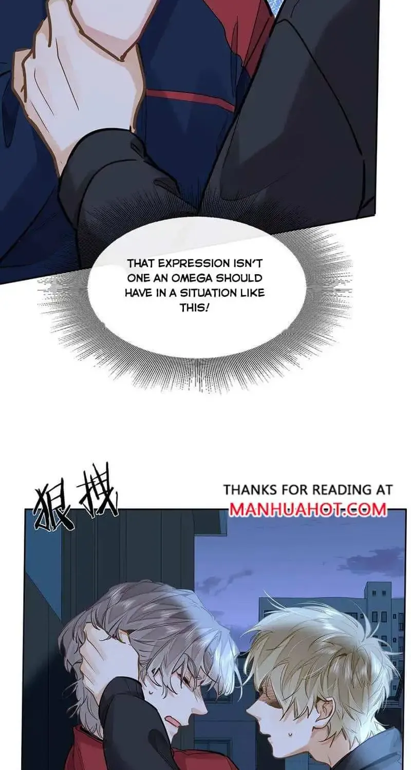 I Like Your Pheromones Zinmanga X Chapter 51 Page 31