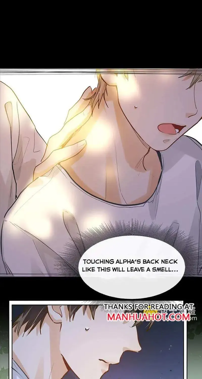 I Like Your Pheromones Zinmanga X Chapter 32 Page 33