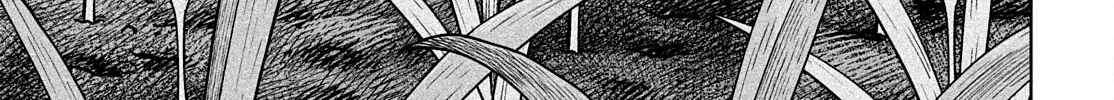 Vinland Saga Zinmanga X Chapter 187 Page 3
