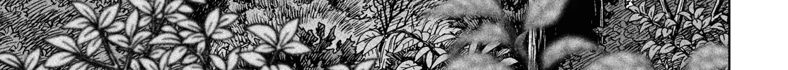 Vinland Saga Zinmanga X Chapter 186 Page 31