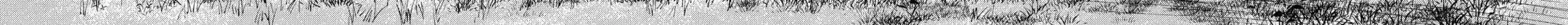 Gate - Jietai Kare No Chi Nite, Kaku Tatakeri Zinmanga X Chapter 129 Page 20