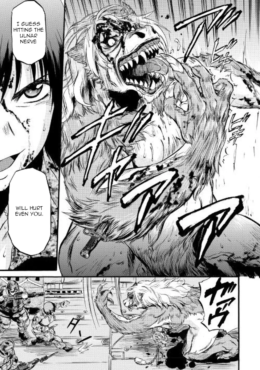 Gate - Jietai Kare No Chi Nite, Kaku Tatakeri Zinmanga X Chapter 89 Page 17