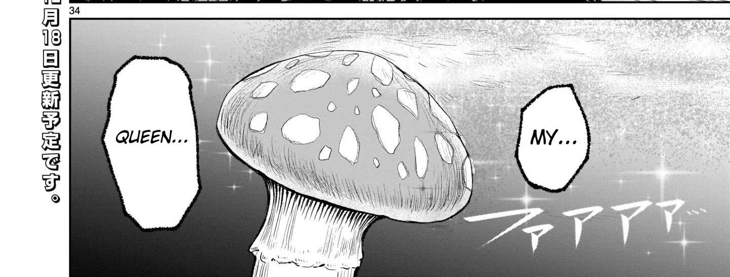 Rosen Garten Saga Zinmanga X Chapter 4 Page 62