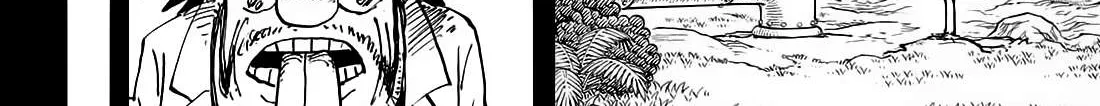 One Piece Zinmanga X Chapter 1120 Page 5