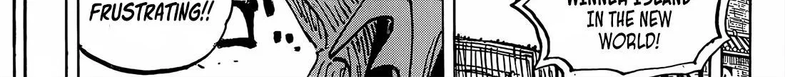 One Piece Zinmanga X Chapter 1064 Page 16